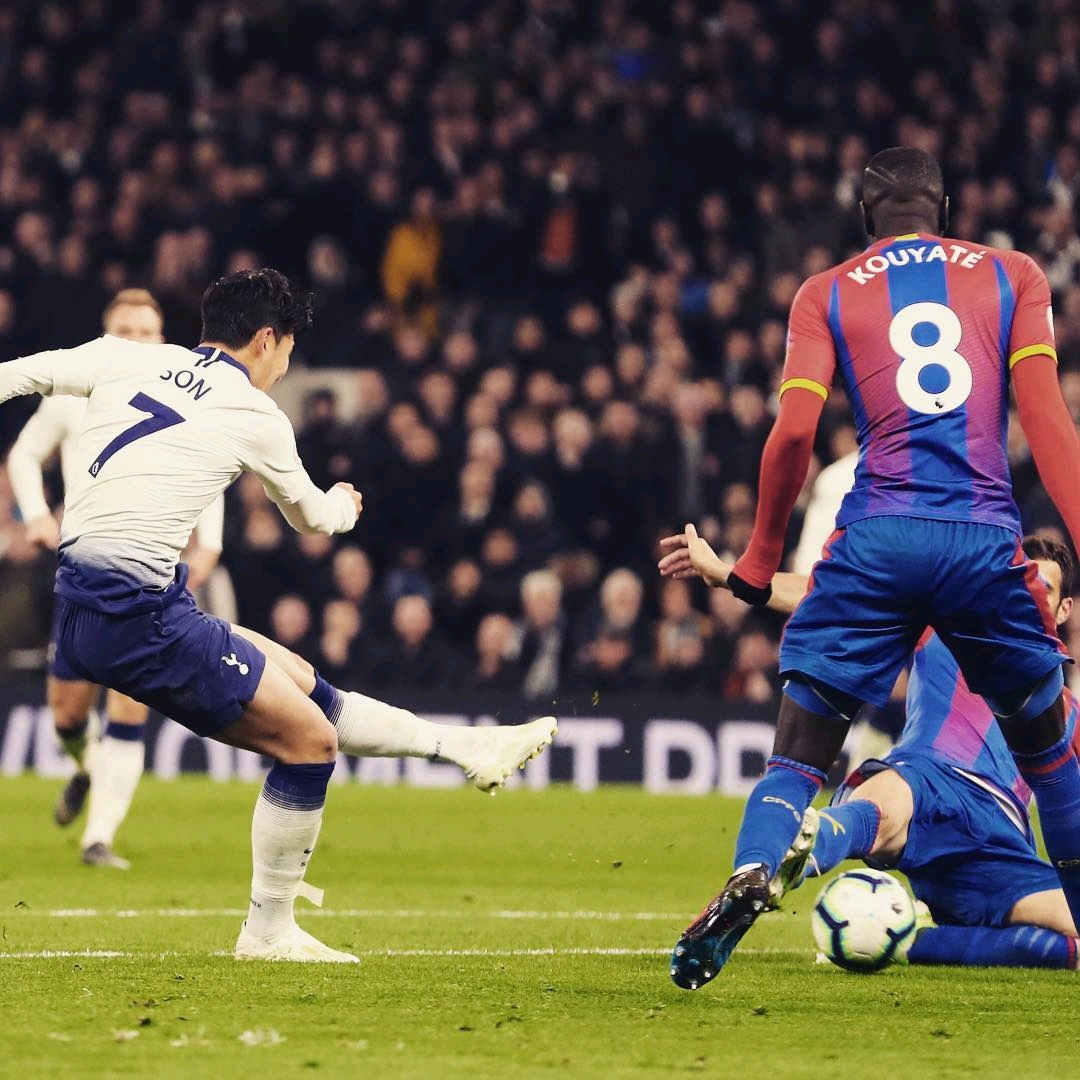 的佼佼者 的佼佼者